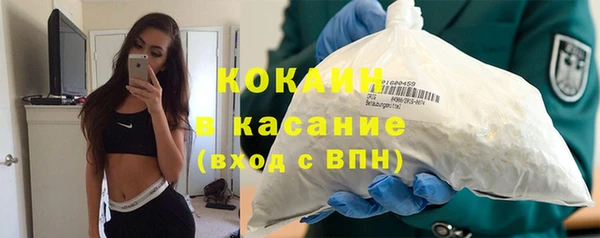 гашик Осташков
