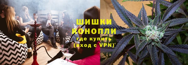 гашик Осташков
