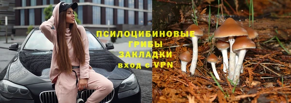 гашик Осташков