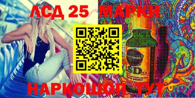 гидропоника Будённовск