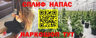 гидропоника Будённовск