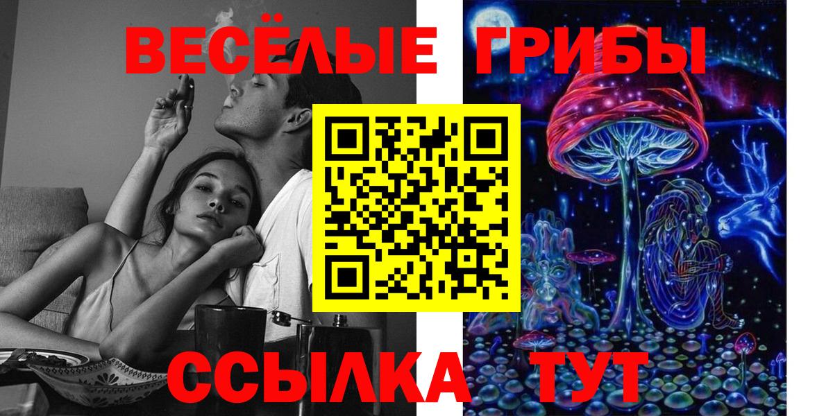 Галлюциногенные грибы MAGIC MUSHROOMS  цена   Кириши 