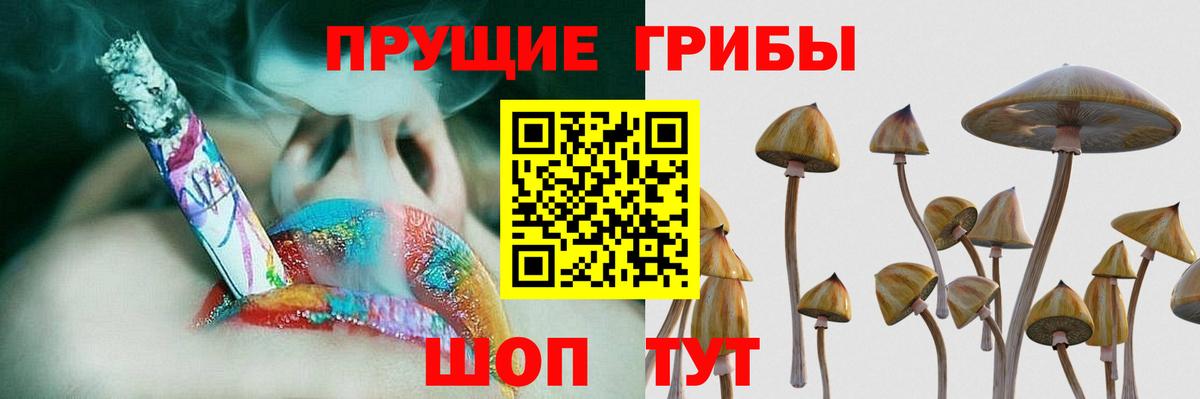 Псилоцибиновые грибы Cubensis Кириши