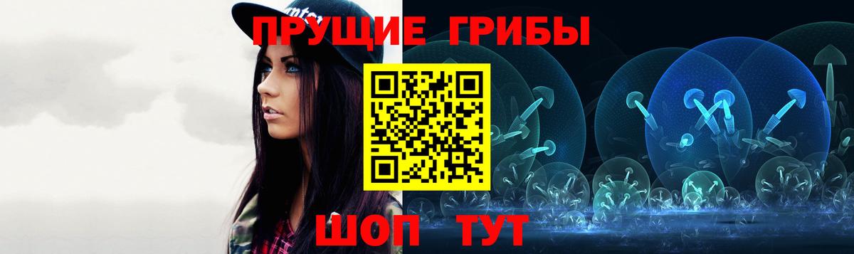 Псилоцибиновые грибы GOLDEN TEACHER Кириши